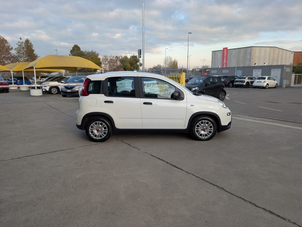 FIAT Panda 1.0 FireFly S&S Hybrid 70CV - OK NEOPATENTATI - 4