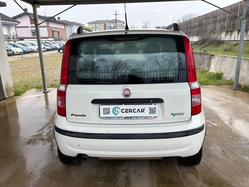 FIAT Panda 1.2 Dynamic BENZ/METANO OK NEOPATENTATI FARI FENDI - 5