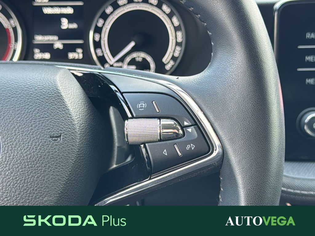 SKODA Fabia 1.0 mpi evo style 80cv - 20