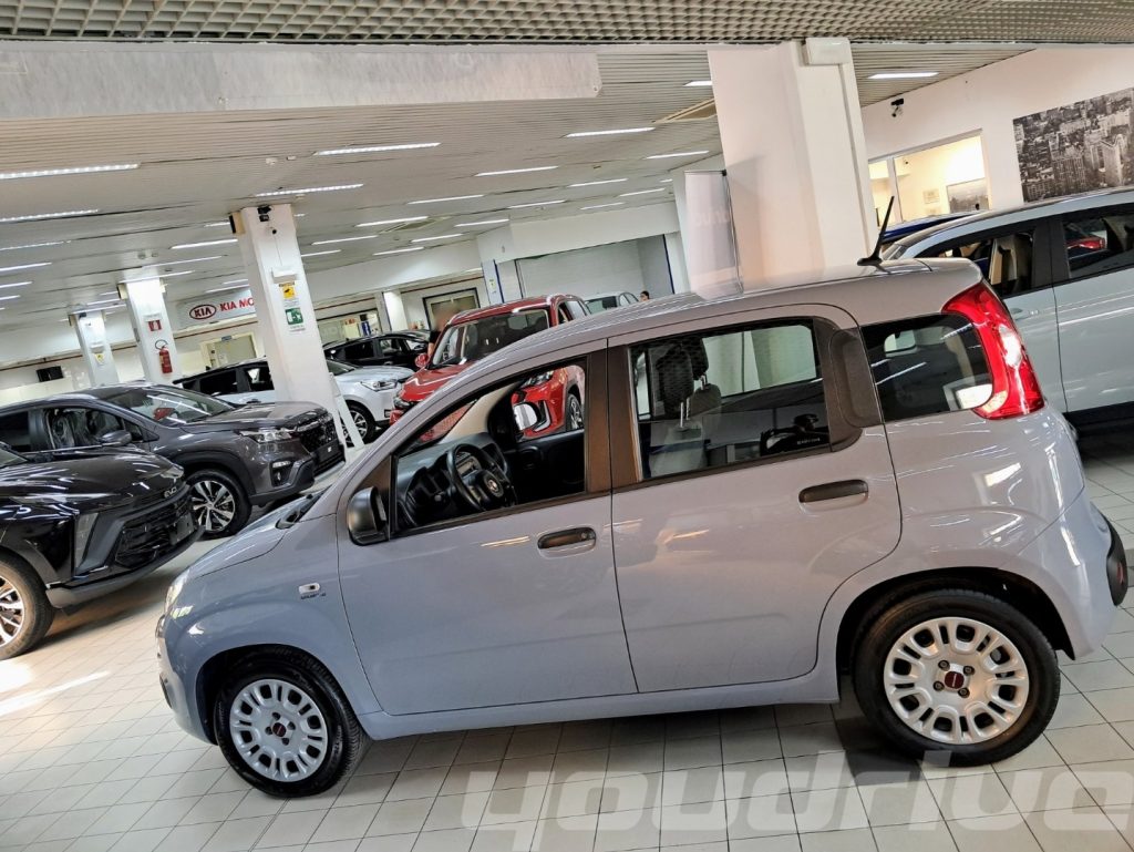 FIAT New Panda / 1.0 FireFly S&S Hybrid KM 48.700 - 2