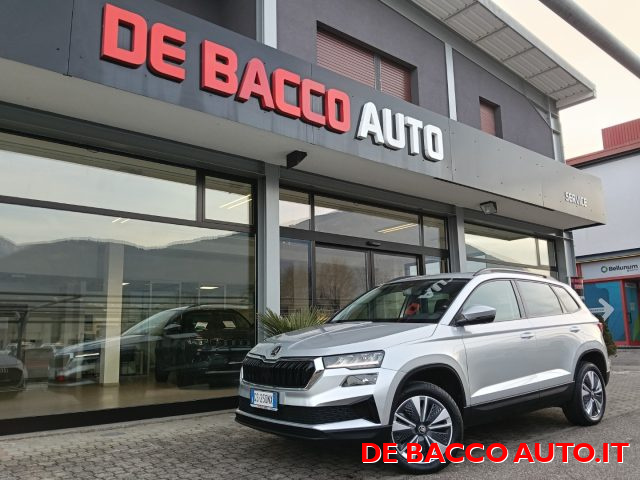 SKODA Karoq Argento metallizzato