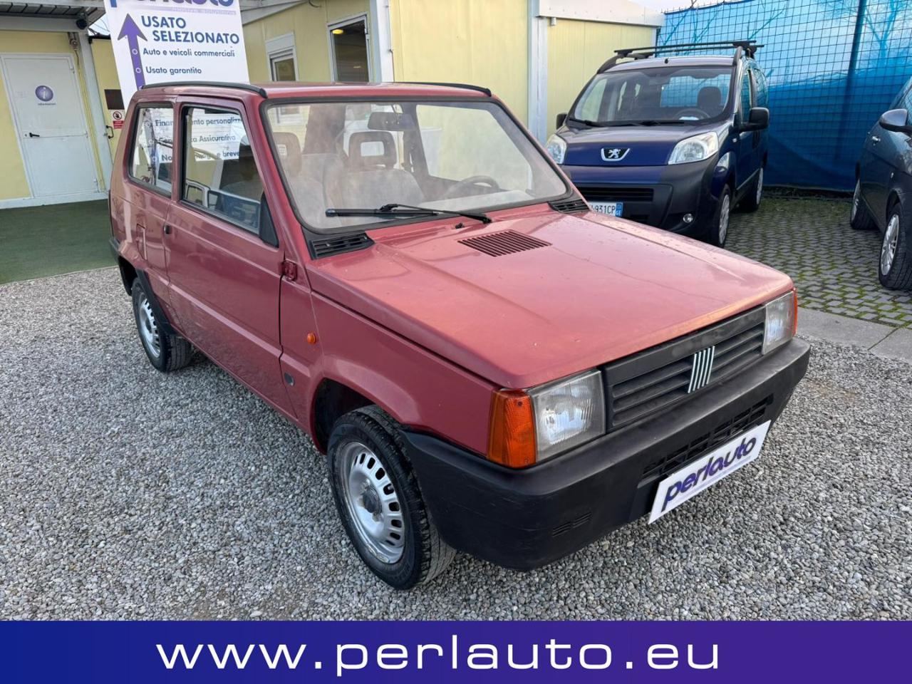FIAT Panda 1ª serie 1100 i.e. cat Young - 2