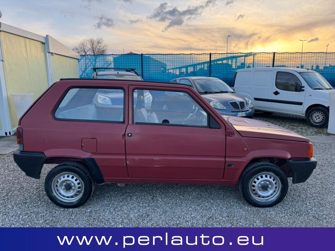 FIAT Panda 1ª serie 1100 i.e. cat Young - 3