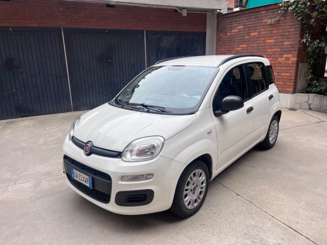 FIAT Panda Bianco pastello