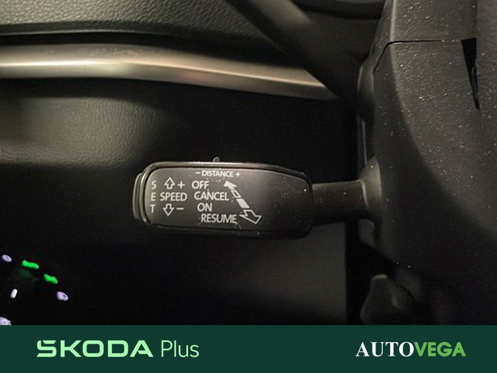 SKODA Karoq 2.0 tdi evo executive 115cv dsg - 15