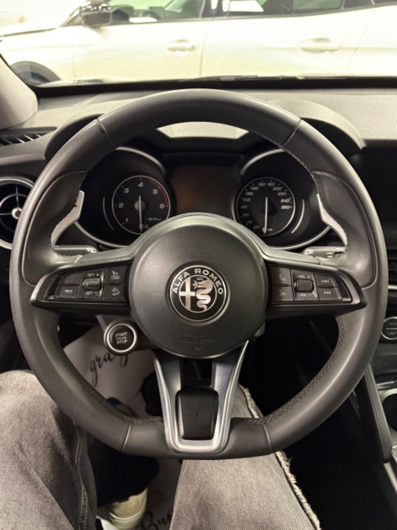 ALFA ROMEO Stelvio 2.2 Turbodiesel 160 CV AT8 RWD Super KM 46000 - 9