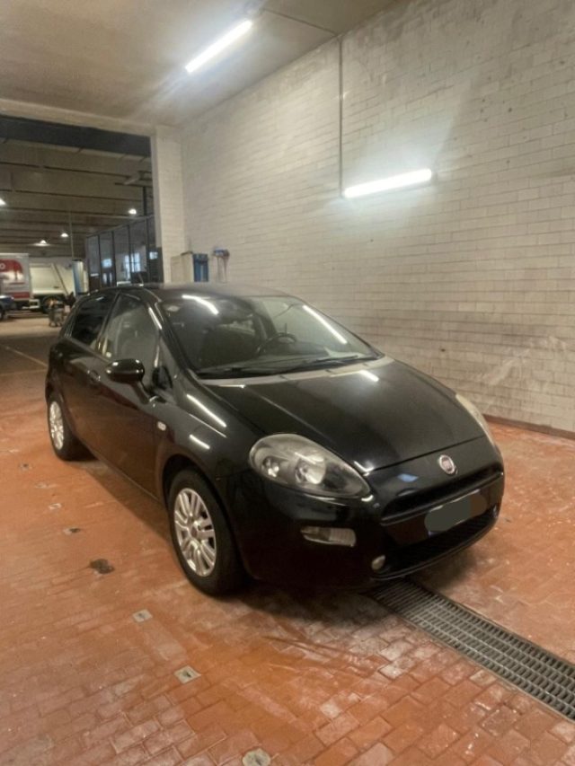 FIAT Punto Nero pastello