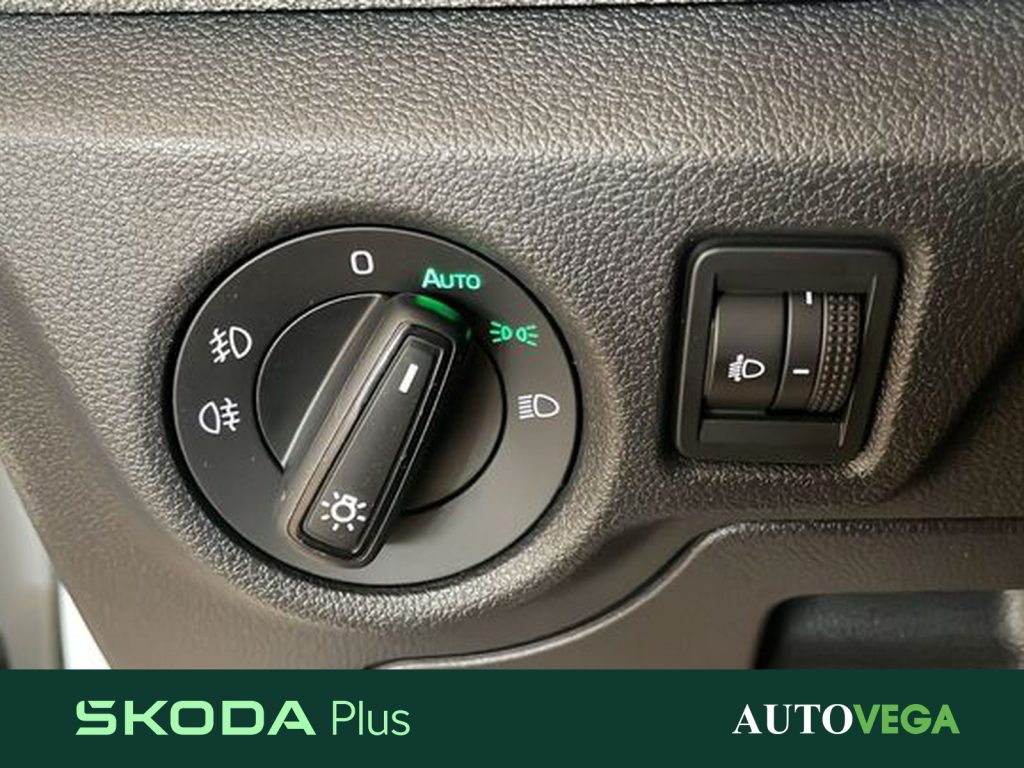 SKODA Kamiq 1.0 tsi selection 95cv - 14