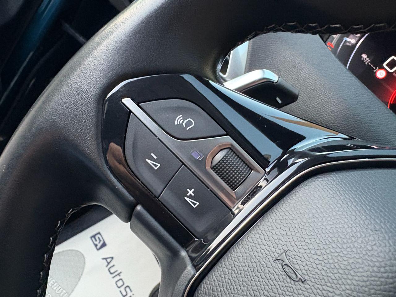 PEUGEOT 3008 1.5 BlueHDi 130 S&S Allure Pack C.AUTOMATICO - 24