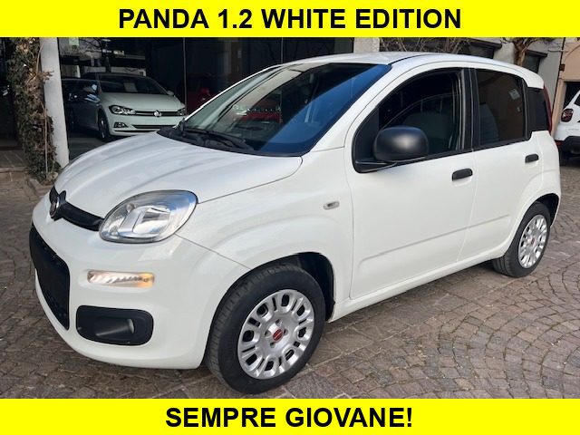 FIAT Panda Bianco pastello