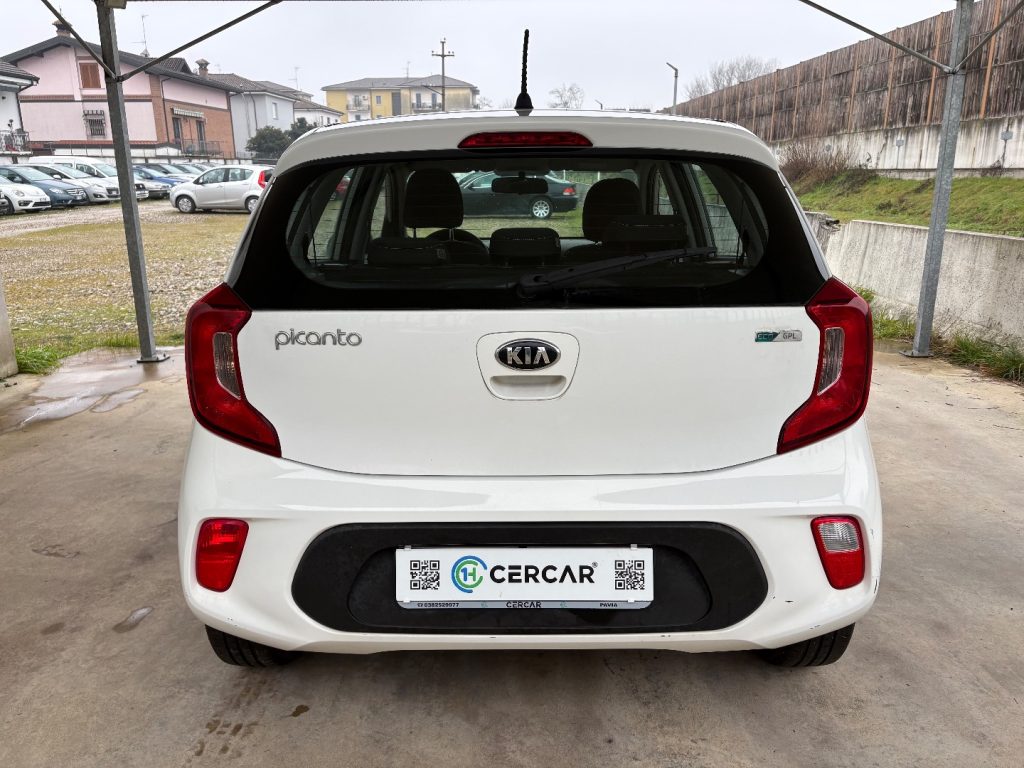KIA Picanto 1.0 12V EcoGPL 5 porte Active OK NEOP. FARI FENDI - 4
