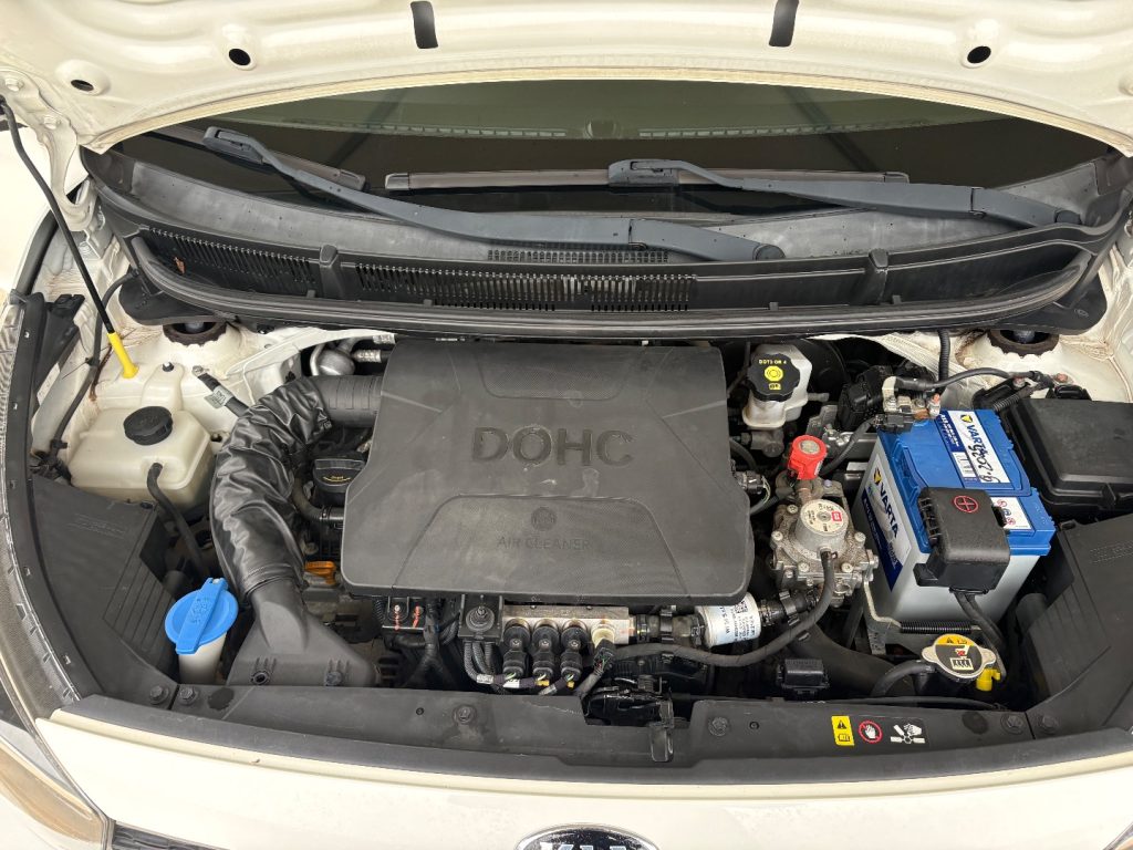 KIA Picanto 1.0 12V EcoGPL 5 porte Active OK NEOP. FARI FENDI - 14