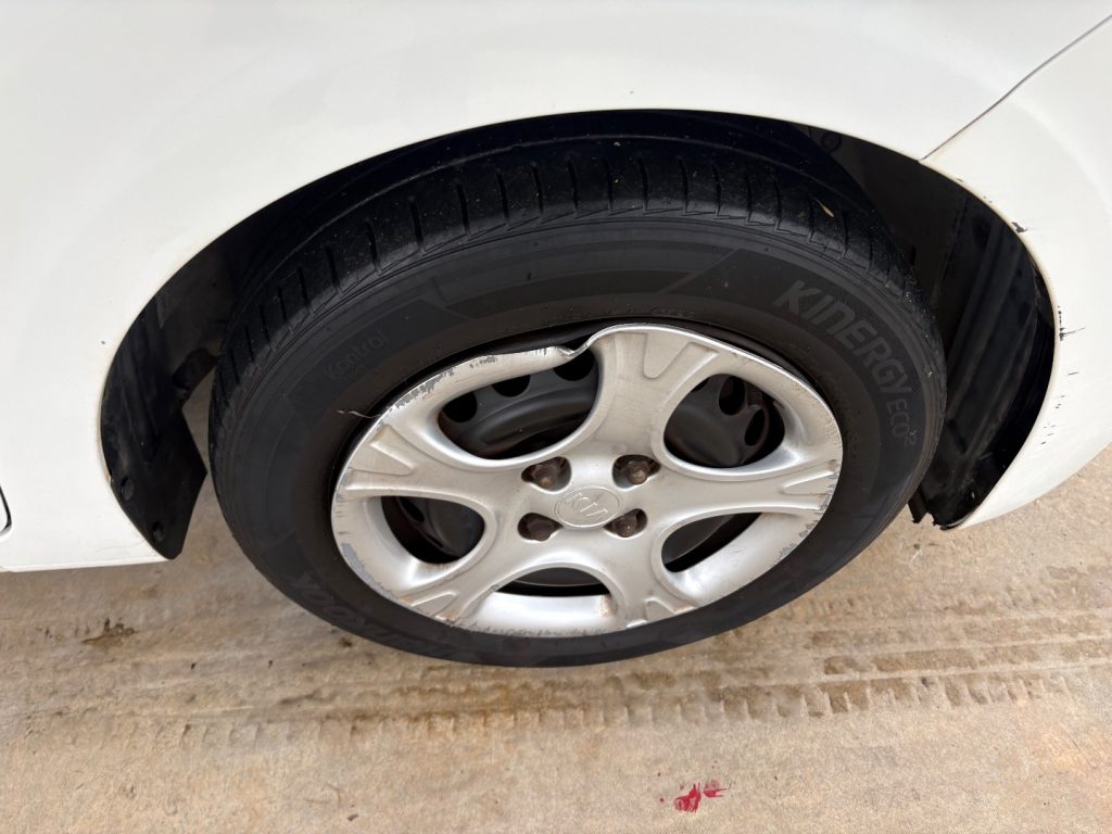 KIA Picanto 1.0 12V EcoGPL 5 porte Active OK NEOP. FARI FENDI - 37