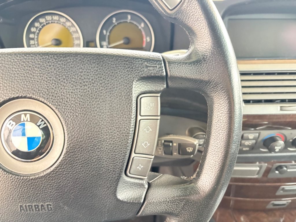 BMW 730 MOTORE E KM ORIGINALI TELEFONO PELLE FULL OTIONAL - 67