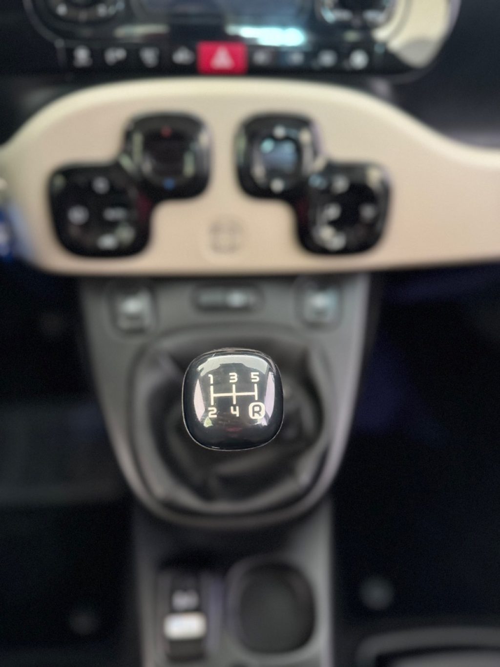 FIAT Panda 1.3 MJT S&S 4x4 Antartica - 12