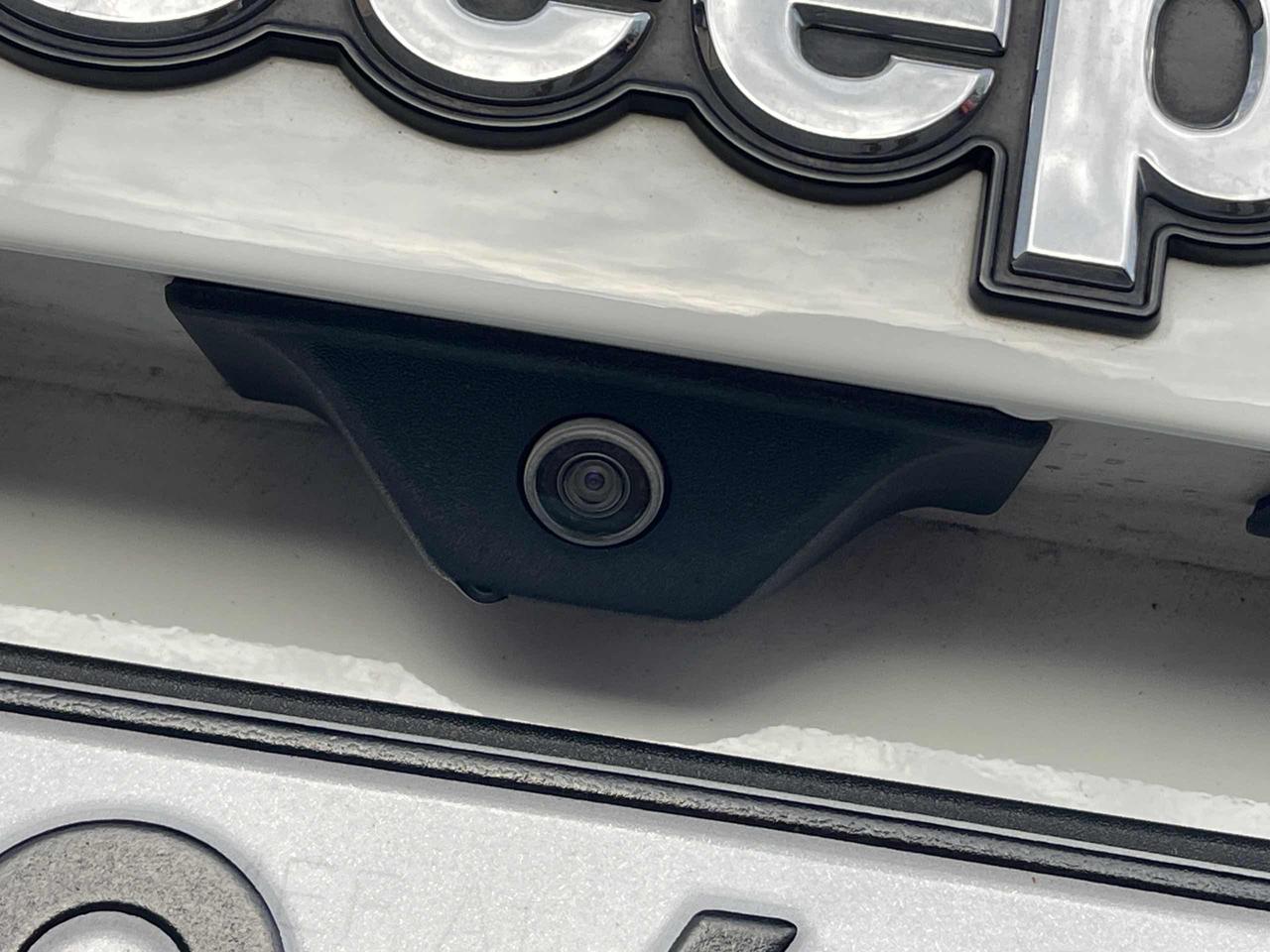 JEEP Renegade 1.6 Mjt 130 CV Limited Euro 6D - 17