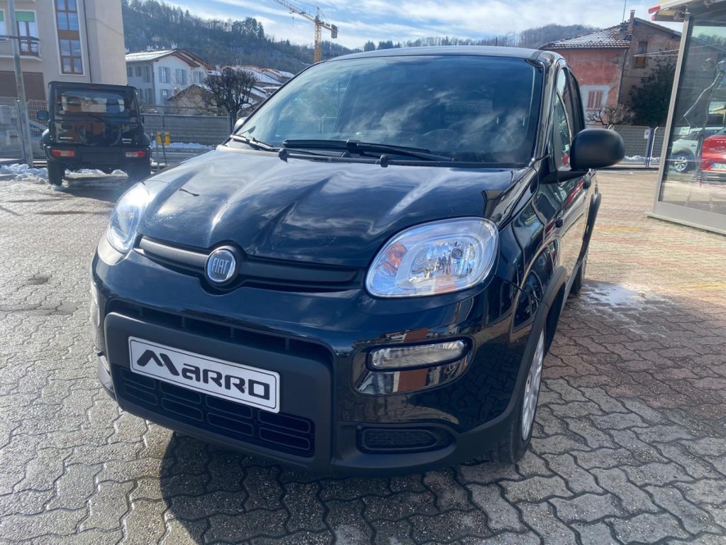 FIAT Panda 1.0 MILD- Hybrid VETRI OSCURATI - 3