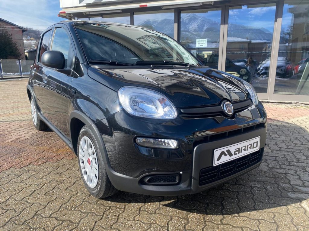 FIAT Panda 1.0 MILD- Hybrid VETRI OSCURATI - 2