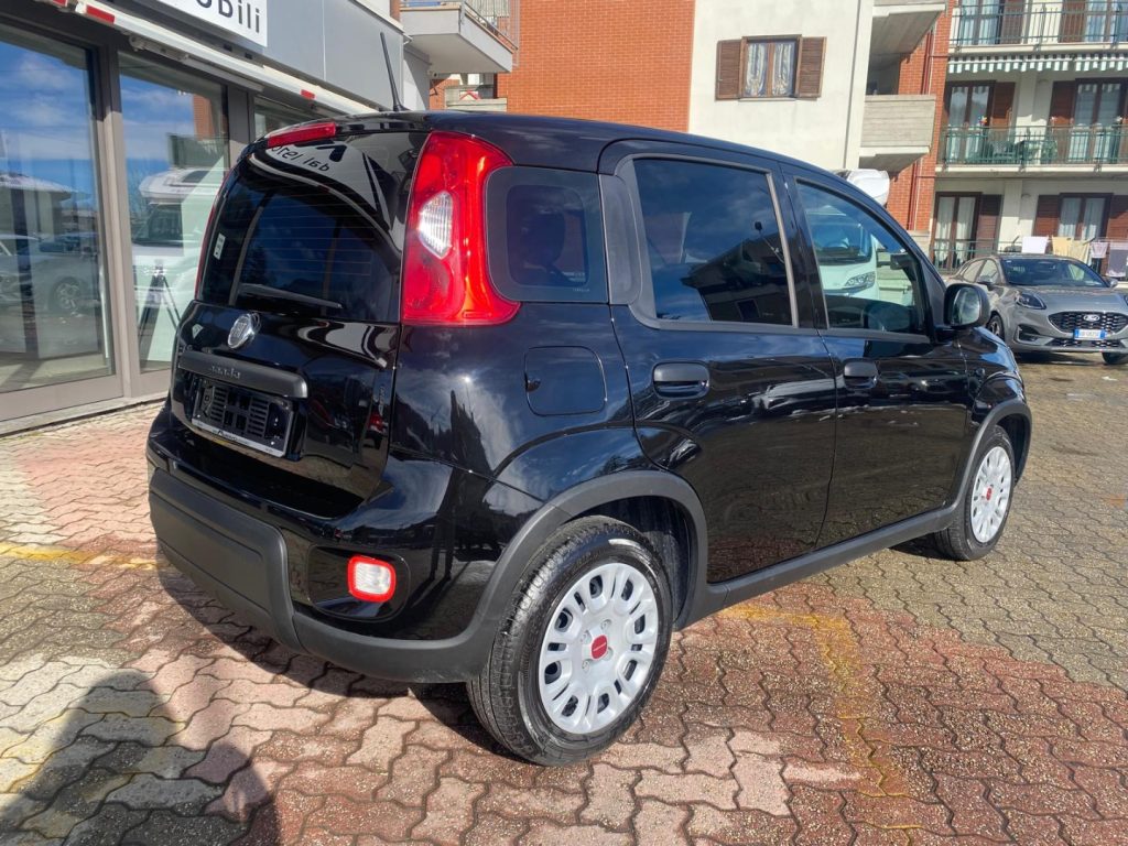 FIAT Panda 1.0 MILD- Hybrid VETRI OSCURATI - 5