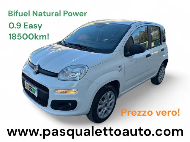 FIAT Panda Bianco pastello