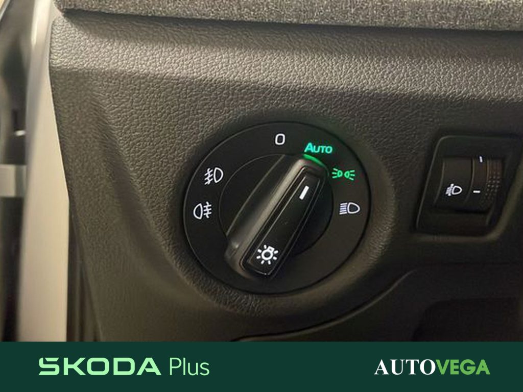 SKODA Kamiq 1.0 tsi selection 95cv - 17