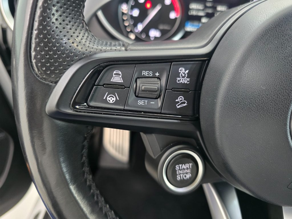 ALFA ROMEO Stelvio 2.2 Turbodiesel 210 CV AT8 Q4 Veloce - 14