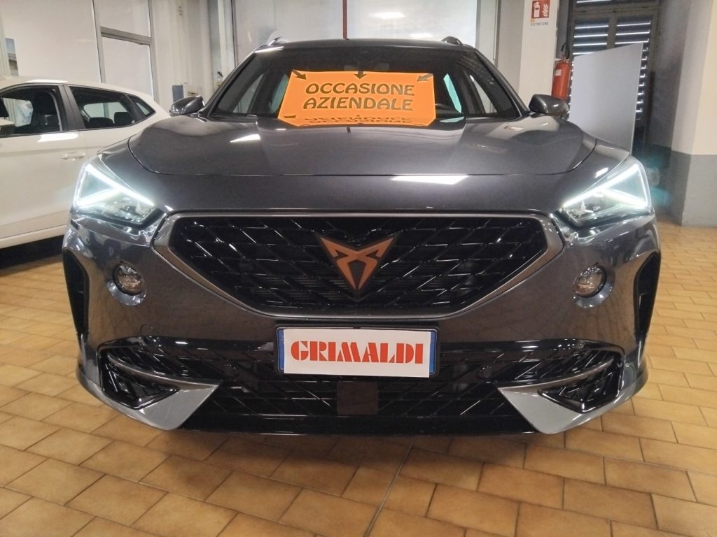 CUPRA Formentor 1.5 TSI DSG 19 VIDEO - 2