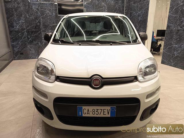 FIAT Panda Bianco pastello