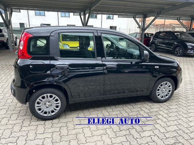 FIAT Panda Nero pastello