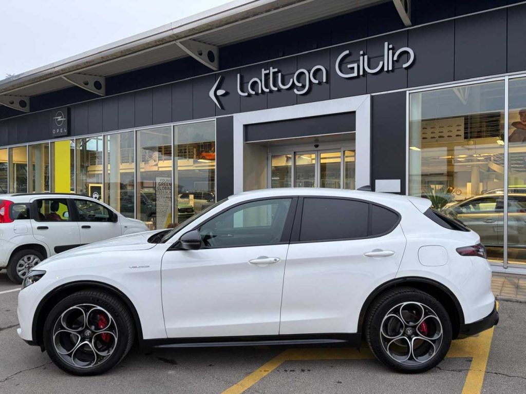 ALFA ROMEO Stelvio 2.2 Turbodiesel 210 CV AT8 Q4 Veloce - 9