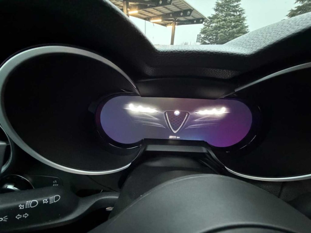 ALFA ROMEO Stelvio 2.2 Turbodiesel 210 CV AT8 Q4 Veloce - 14