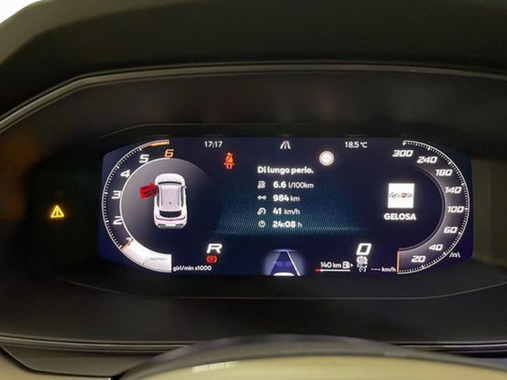 CUPRA Formentor 2.0 tdi 150cv dsg - 15