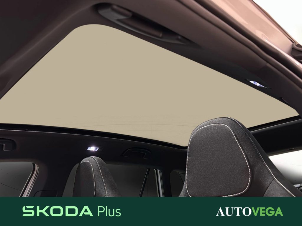 SKODA Kamiq 1.0 tsi monte carlo 115cv dsg - 18