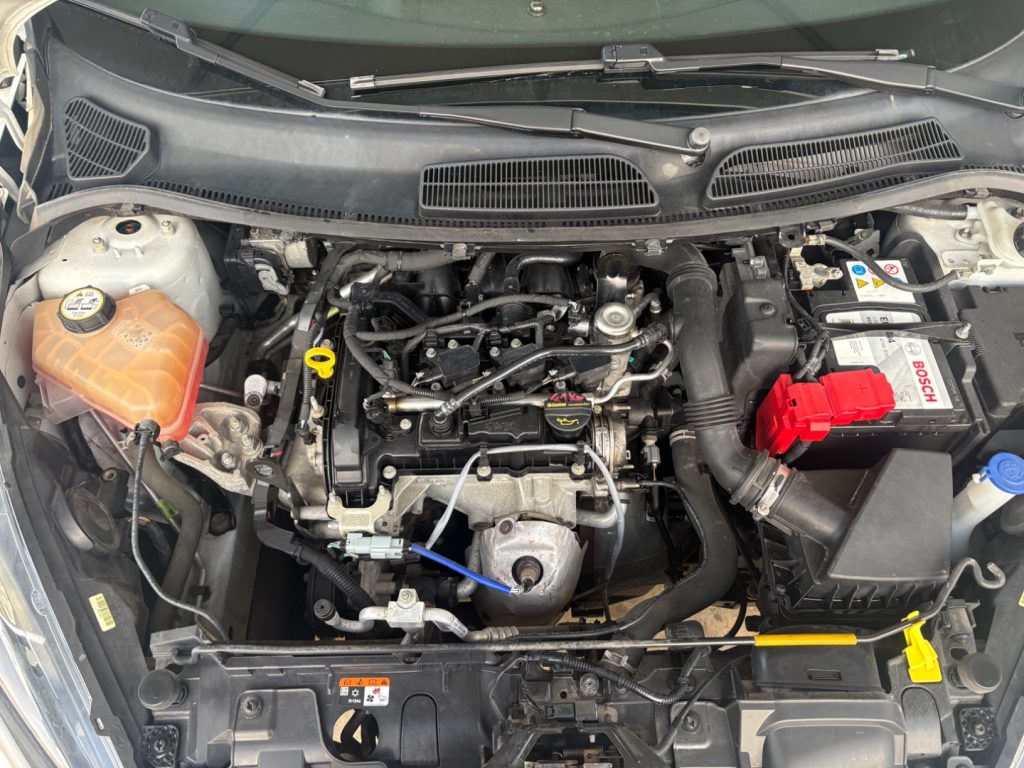 FORD Fiesta 1.0 80CV ST LINE Black & White Edition BELLISSIMA - 28