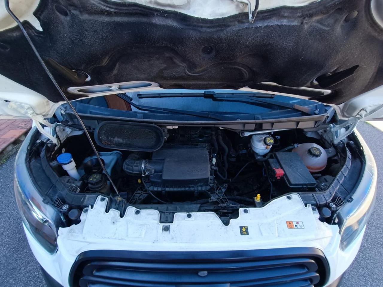 FORD Transit 350 2.0TDCi EcoBlue 130CV PL-TM Furgone Entry - 9