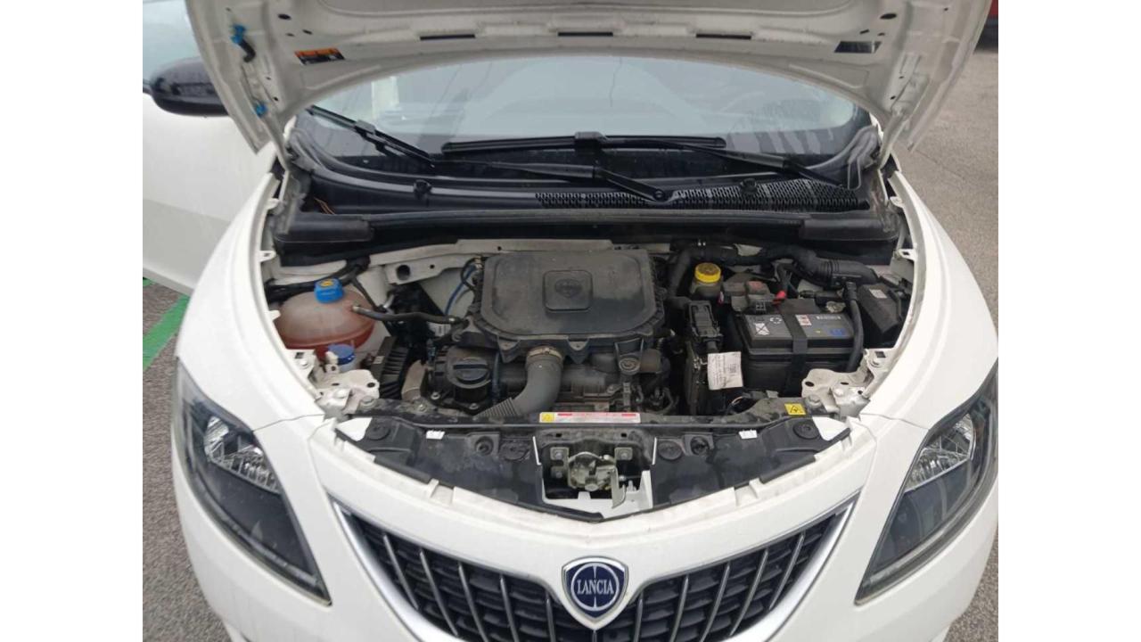 LANCIA Ypsilon 1.0 FireFly 5 porte S&S Hybrid Ecochic Silver - 12