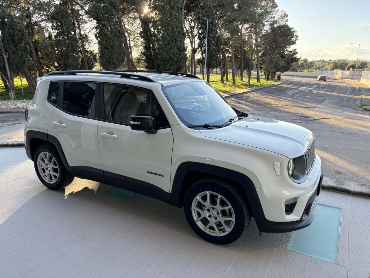 JEEP Renegade 1.6 Mjt 130 CV Limited FARI FULL LED - 3
