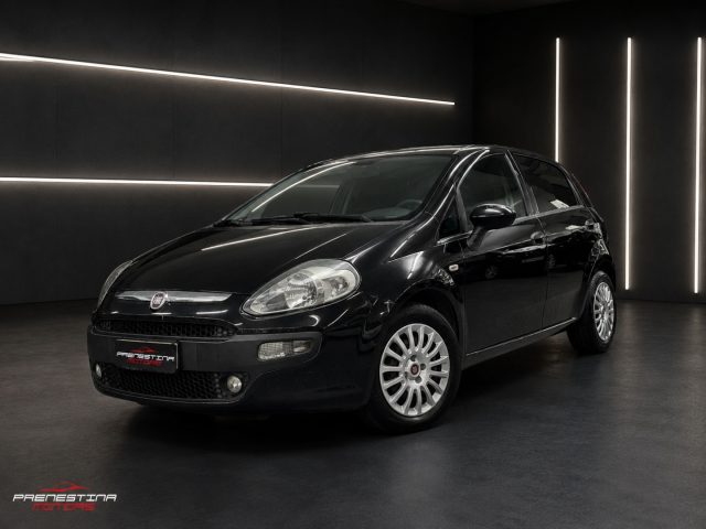 FIAT Punto Nero pastello