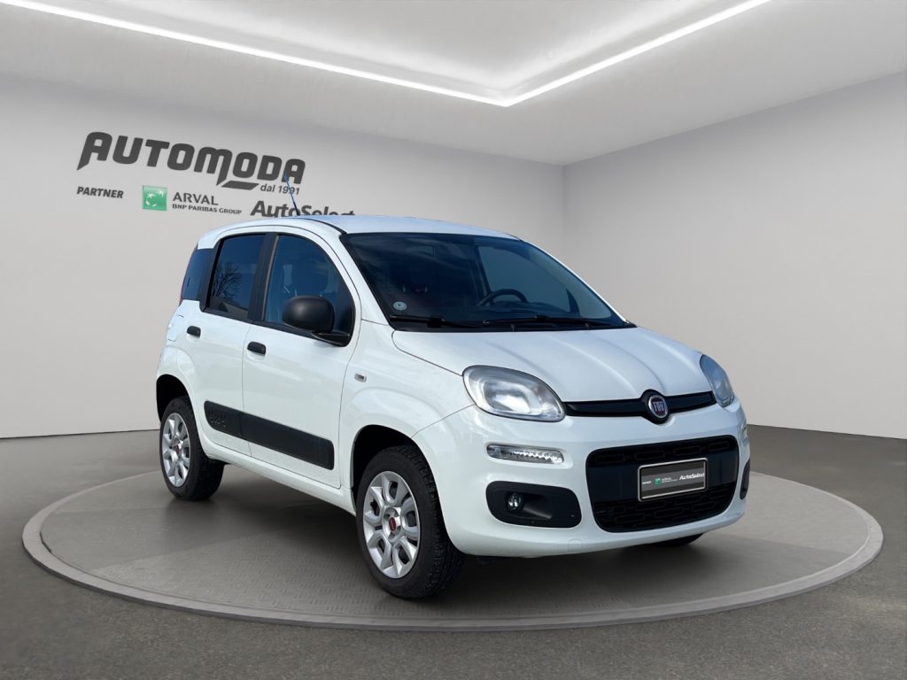 FIAT Panda VAN 4x4 2 POSTI - 3