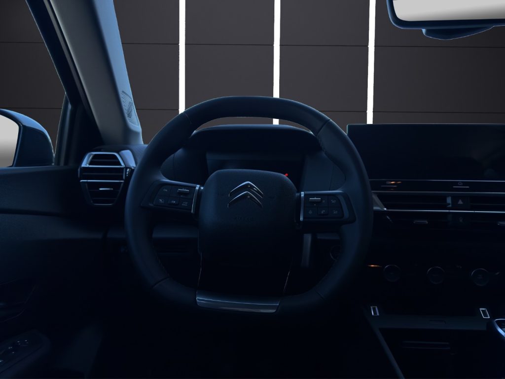 CITROEN C4 PureTech 130 S&S Max - 10