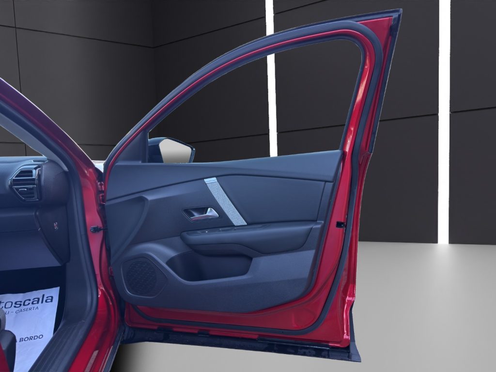 CITROEN C4 PureTech 130 S&S Max - 17