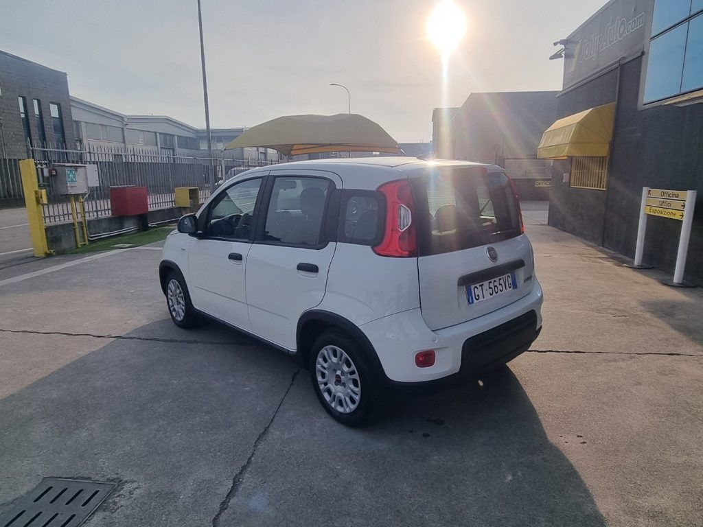 FIAT Panda 1.0 FireFly S&S Hybrid - OK NEOPATENTATI - 4