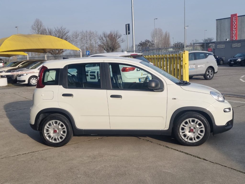 FIAT Panda 1.0 FireFly S&S Hybrid - OK NEOPATENTATI - 8
