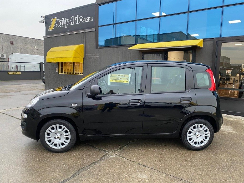 FIAT Panda 1.0 FireFly S&S Hybrid - OK NEOPATENTATI - 2