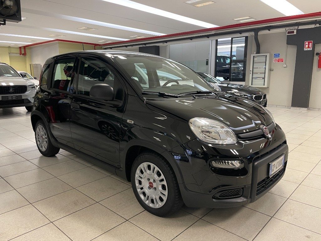 FIAT Panda 1.0 FireFly S&S Hybrid+5posti+Sensori Parcheggio - 3