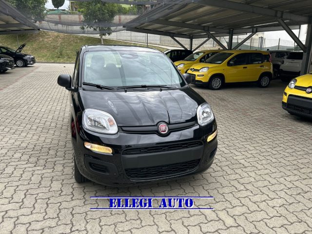 FIAT Panda Nero pastello