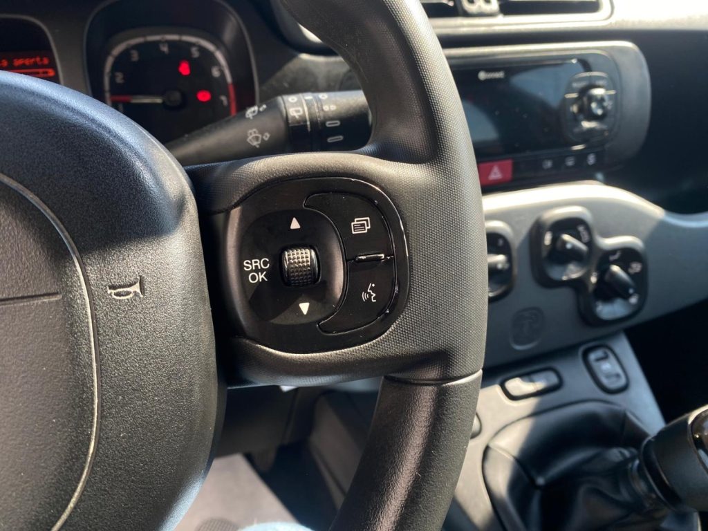 FIAT Panda 0.9 WILD 4x4 RUOTINO* - 8