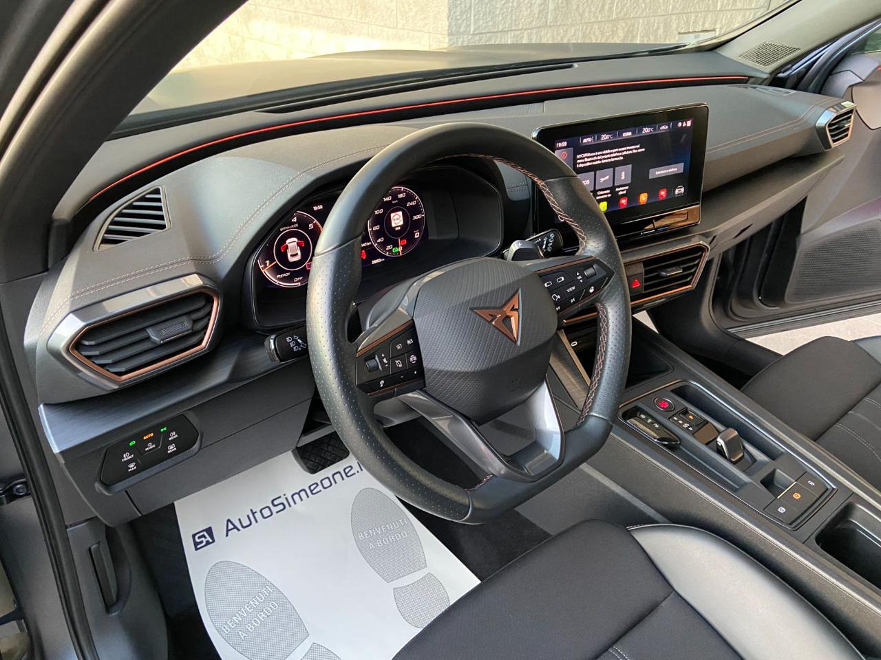 CUPRA Formentor 2.0 TDI 150 CV 4Drive DSG OPACA - 10