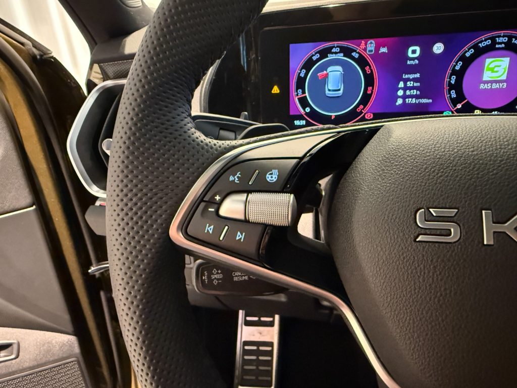 SKODA Kodiaq 2.0 TDI 4x4 DSG Sportline Panorama GANCIO LED Navi - 11