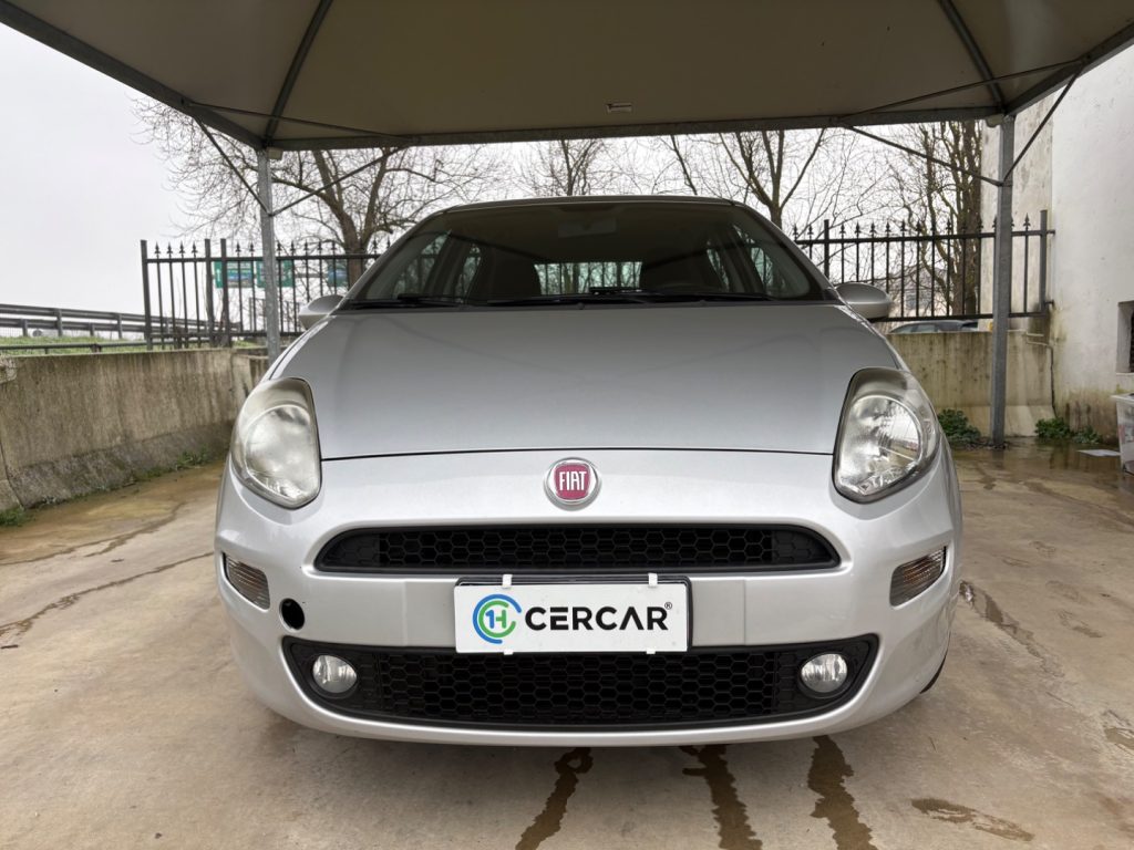 FIAT Punto 1.2 8V 5 porte Street POCHI CHILOMETRI EURO 6 - 2